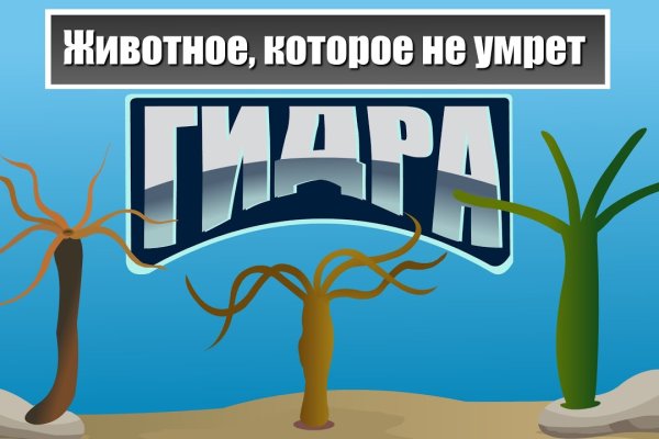 Кракен новый маркетплейс