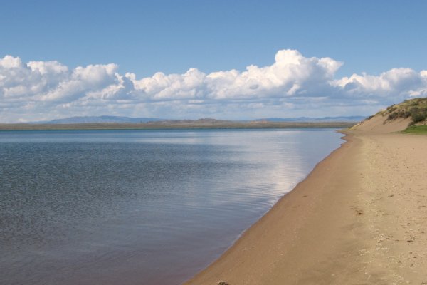 Зайти кракен через тор