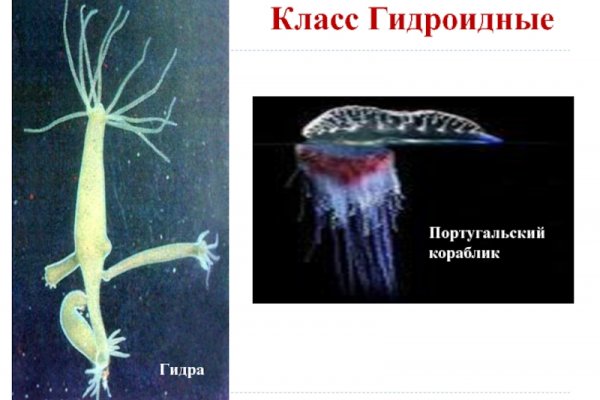 Кракен маркетплейс что это