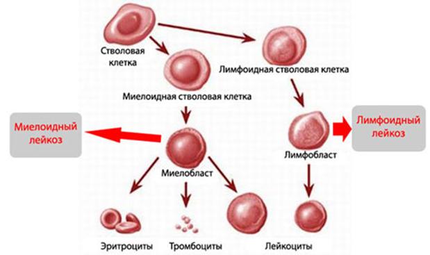 Что с кракеном сегодня сайт